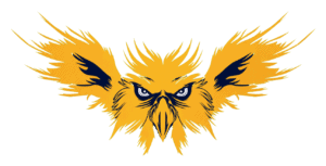 Stylized orange eagle head with outstretched wings on a black background.